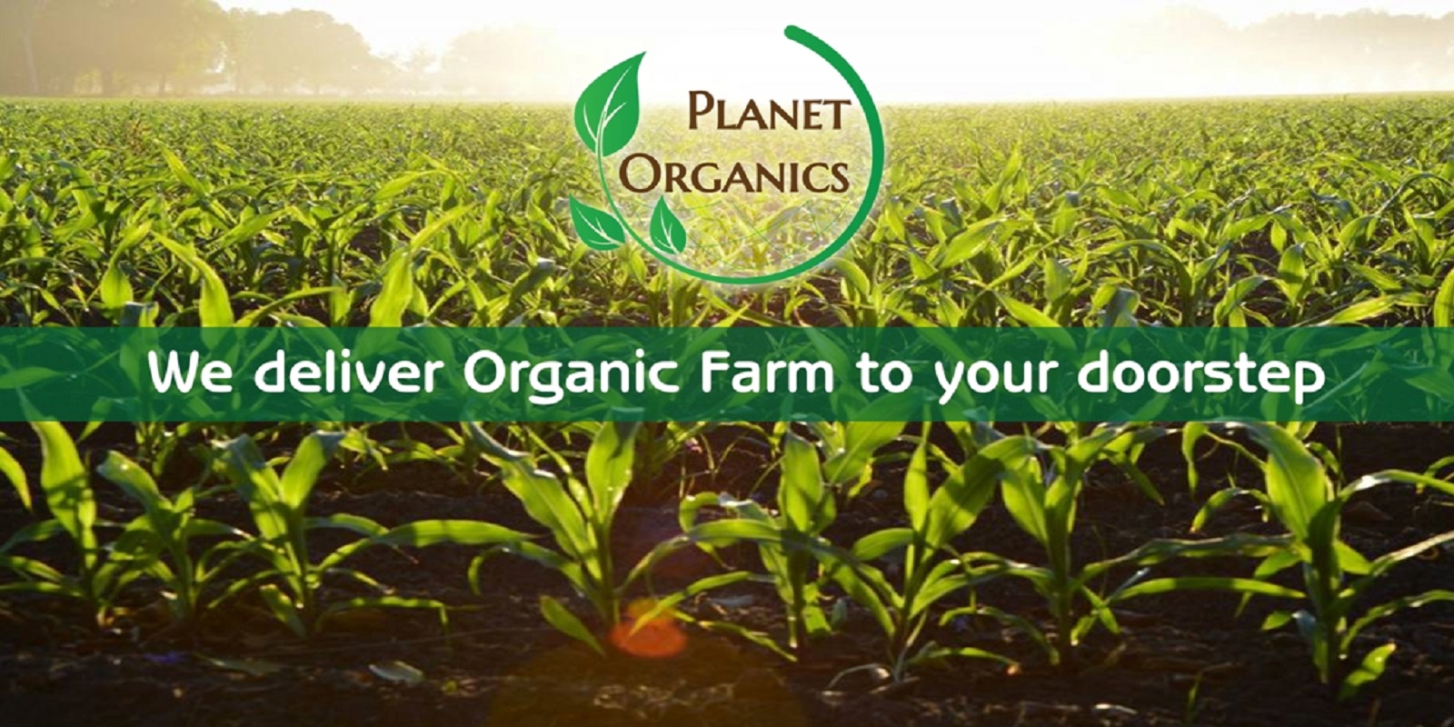Organik, Gaya Hidup Sihat dengan Planet Organics - Butterkicap